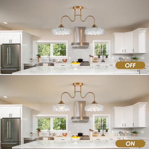 Glass Chandelier Ceiling Pendant Lighting Fixture 2 Lights Hanging Lamp for Bedroom Living Room Mater Room Hallway