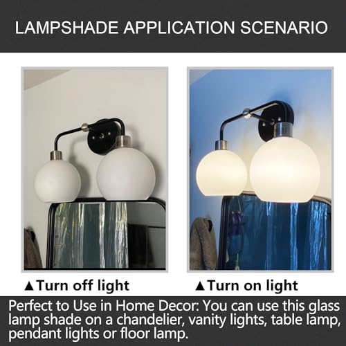 3 Pack Fixture Replacement Globe Shade (3 Count)