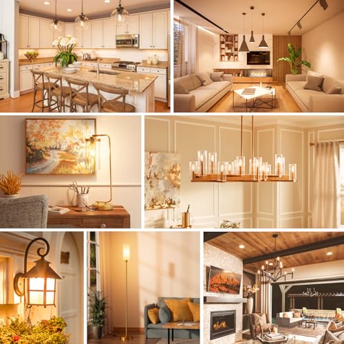 E12 Edison LED Light Bulbs 15 Watt Equivalent Candelabra (6 Count)