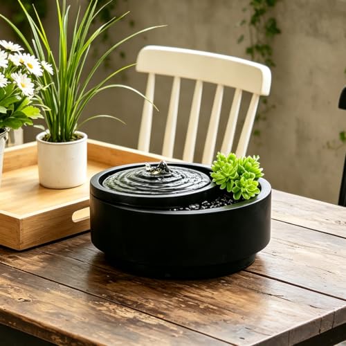 Table Fountain Indoor Water Zen Garden Decor with Succulent Plant
