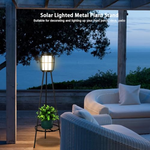 2 Pack Solar Lights with Plant Stand (2 Count)