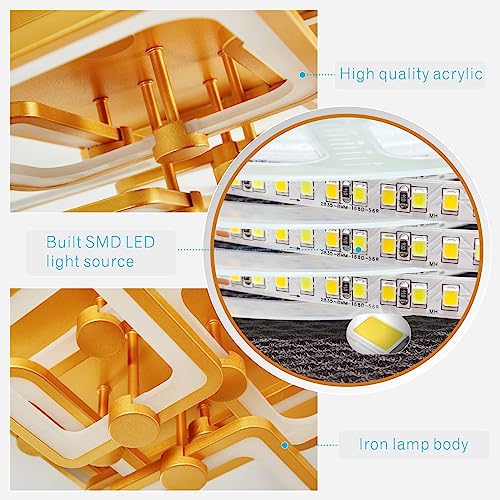 Modern LED Ceiling Light