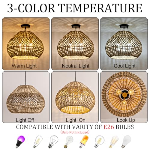 18.9" Rattan Pendant Light