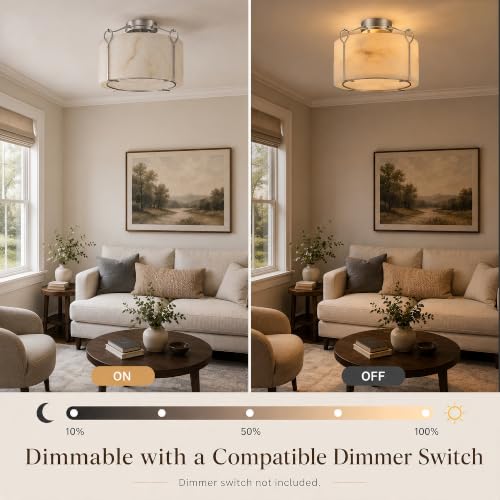 Silver Flush Mount Ceiling Light