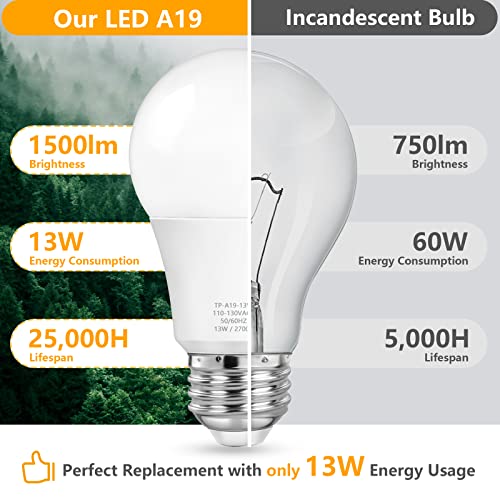 A19 LED Light Bulbs (4 Count)