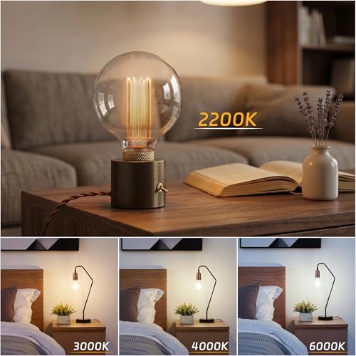Dimmable Edison Bulb E26 Vintage Round LED Light LowLumen Clear G95