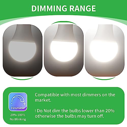 Dusk to Dawn Light Bulbs (2 Count)