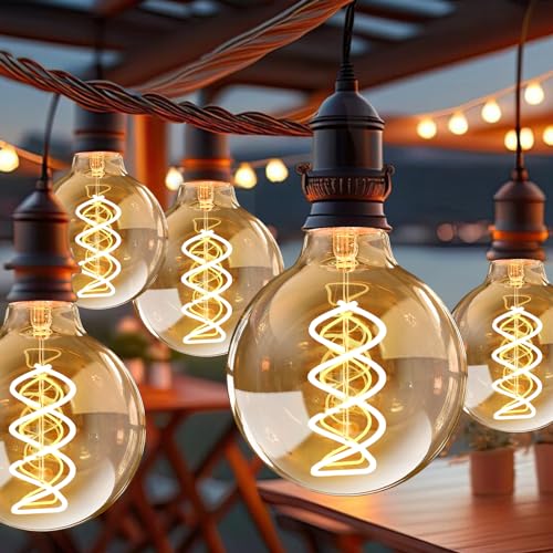 4PCS G80 Vintage Edison Light Bulbs Dimmable for Home (2 Count)