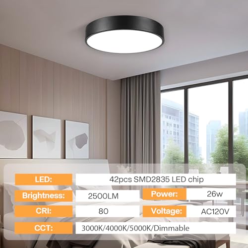 Flush Mount Ceiling Light (Black)