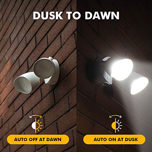 6222W D2D 3500 Lumen 32 Watt Dusk to Dawn Dual