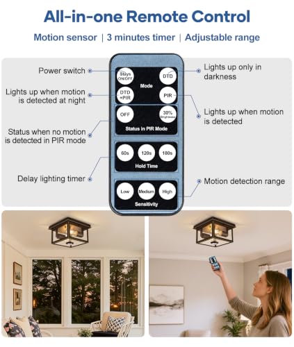 Motion Sensor Outdoor Ceiling Light with Remote