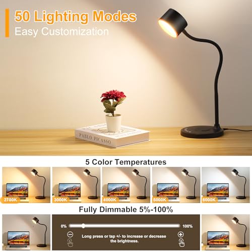 Desk lamp with 2 USB Charging Ports