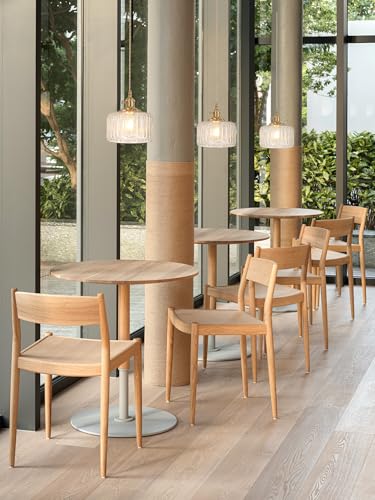 Pendant Light 2 Pack with Clear Striped Glass Lmapshade (2 Count)