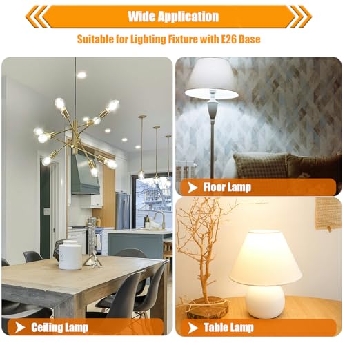 8 Pack Dimmable LED Edison Bulbs 40W Equivalent (8 Count)