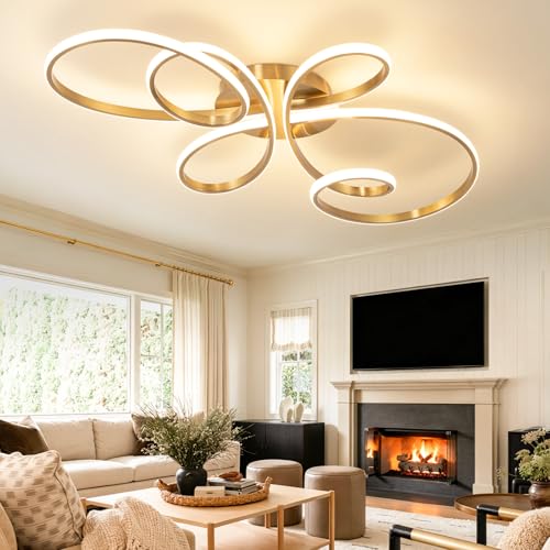 20inch Modern LED Ceiling Light
