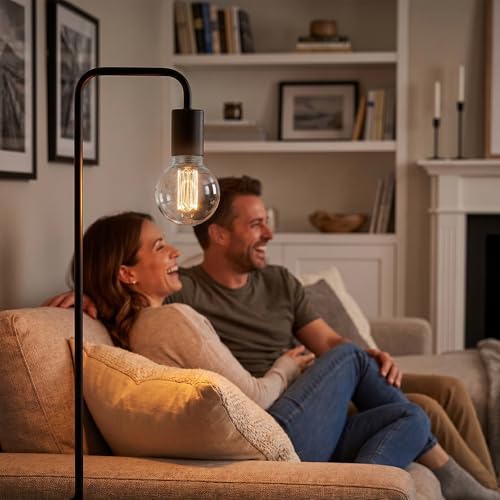 Dimmable Edison Bulb E26 Vintage Round LED Light LowLumen Clear G80
