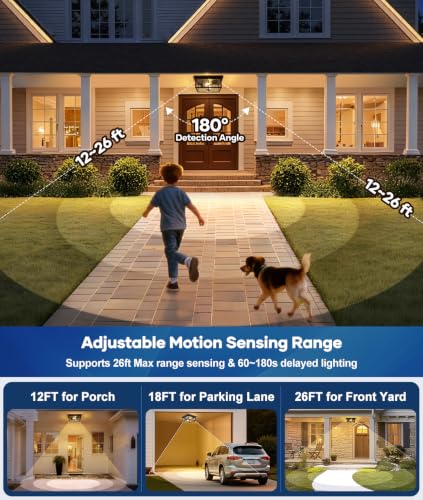 Motion Sensor Outdoor Ceiling Light with Remote