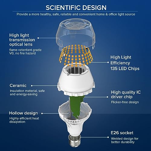 200W Equivalent A19 LED Light Bulb