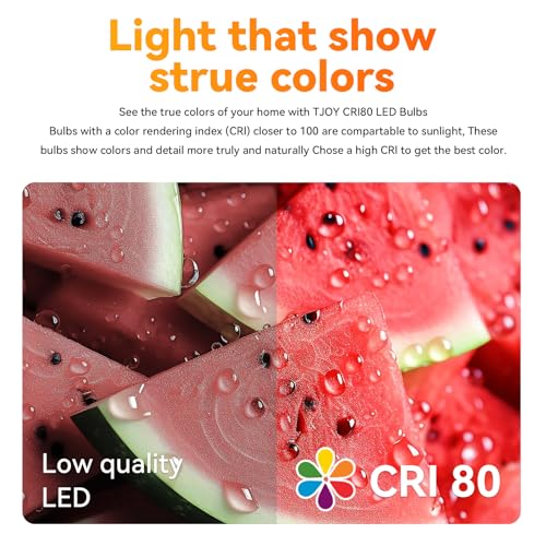 12 Pack BR30 Flood Light Bulb Indoor (12 Count)