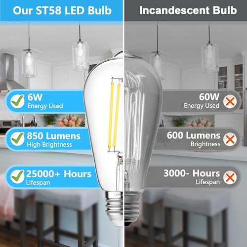 10 Pack Vintage Edison Bulbs 60W Equivalent (10 Count)