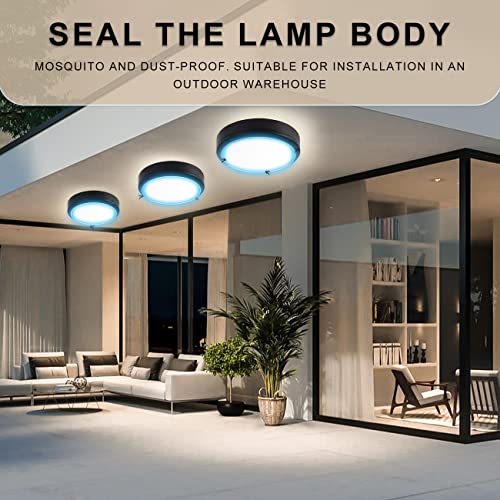 Flush Mount Ceiling Light