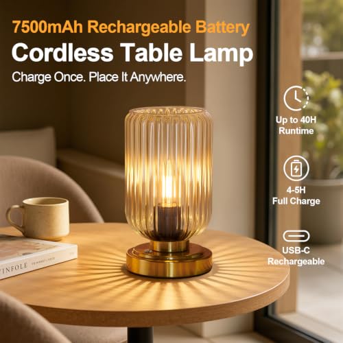Cordless Table Lamp for Bedroom