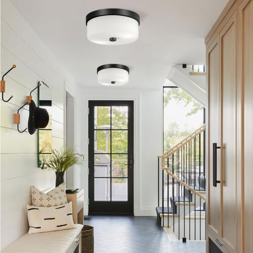 Black Flush Mount Ceiling Light Fixtures