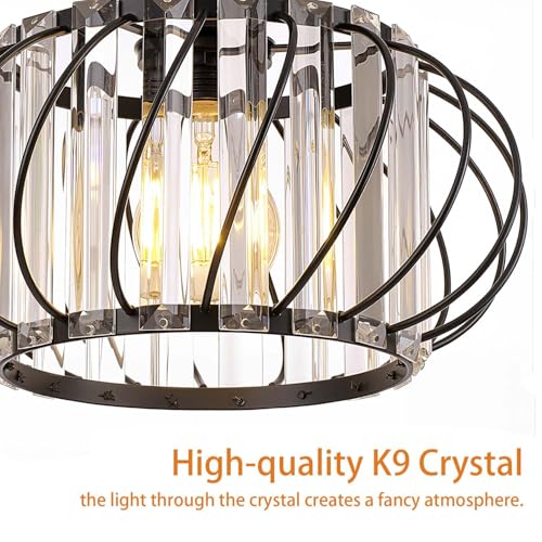 Black Crystal Ceiling Light Fixture