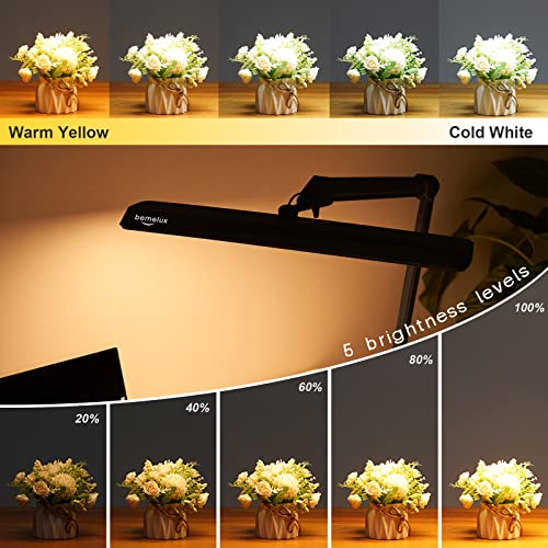 LED Architect Desk Lamp with Clamp