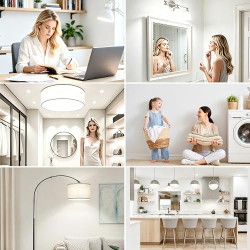 A19 LED Light Bulbs (24 Count)