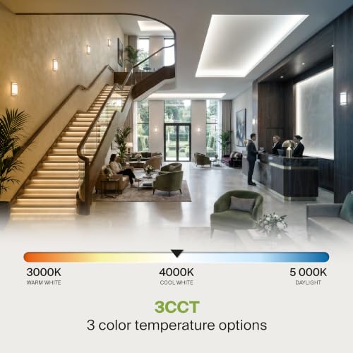 Indoor LED Wall Sconce Lights