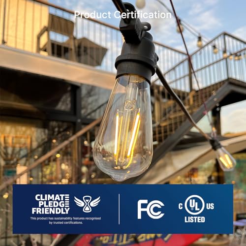 ST19 LED Edison Bulbs for String Lights (12 Count)