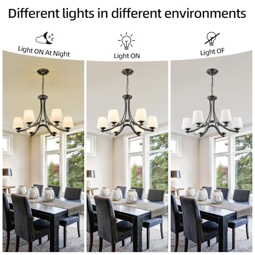 6 Light Modern Black Chandeliers