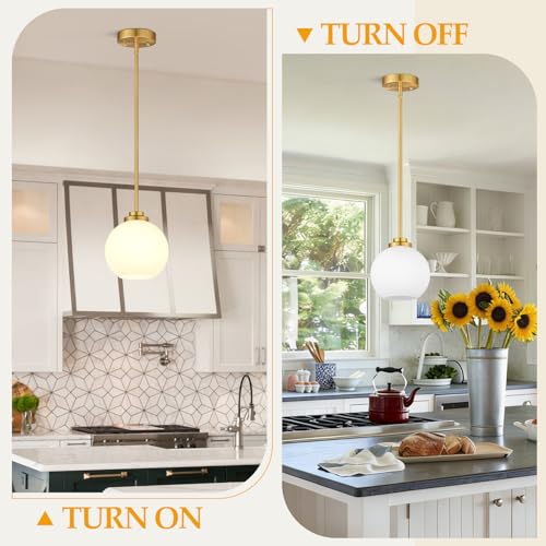 2 Pack Gold Globe Pendant Lights (2 Count)