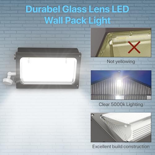LED Wall Pack Light