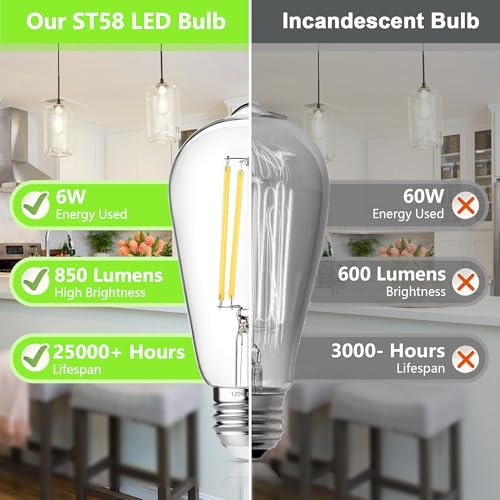4 Pack Vintage Edison Bulbs 60W Equivalent (4 Count)