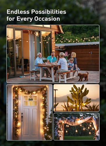 Outdoor String Lights (30 Foot)