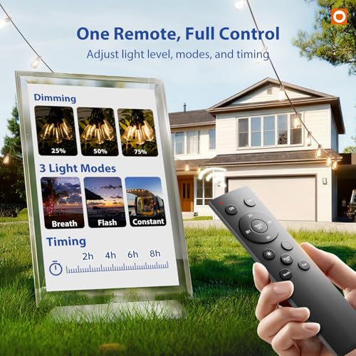 100FT Outdoor String Lights ST38 LED with Remote Waterproof Dimmable (100 Foot)