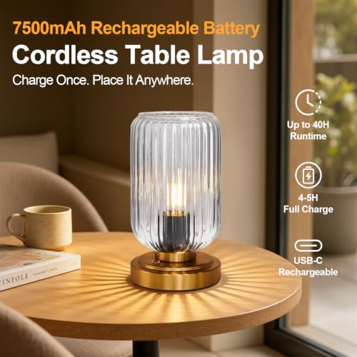 Cordless Table Lamp for Bedroom