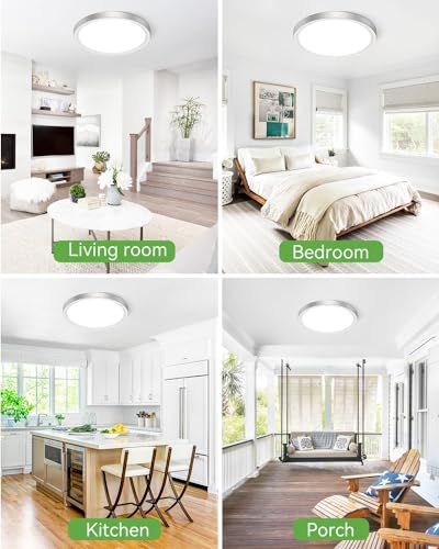 Silver Flush Mount Ceiling Light (2 Count)
