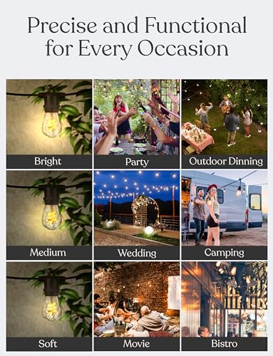 Ambience Pro Waterproof LED Outdoor String Lights (48 Foot)