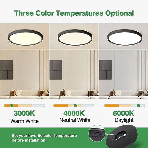 20 Inch Large LED Flush Mount Ceiling Light