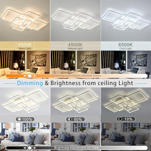 Modern LED Ceiling Light