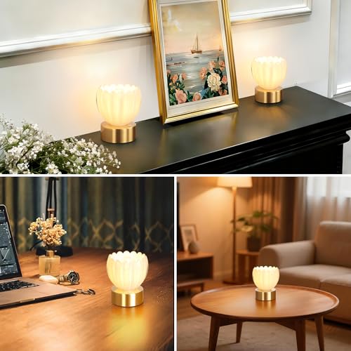 Cordless Small Table Lamp with 5200mAh Battery & Touch Control
