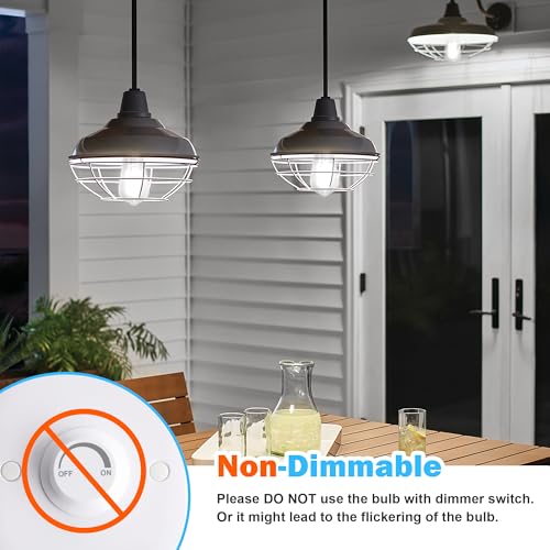 16 Pack Vintage Edison LED Bulbs (16 Count)