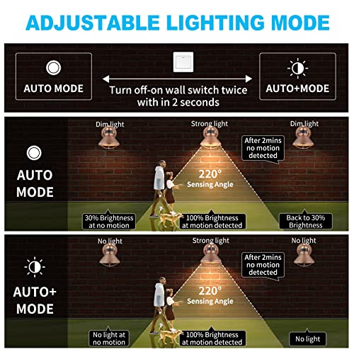 Motion Sensor Outdoor LED Barn Light Dusk to Dawn Exterior Wall Lantern