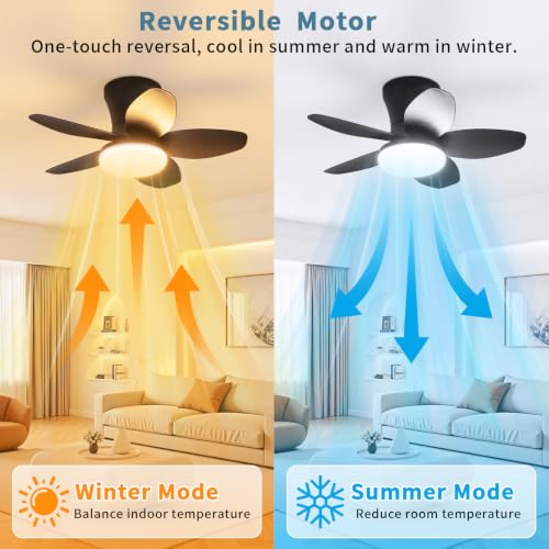Small Ceiling Fan with Lights (25 Inch)