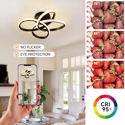 Modern Ceiling Light