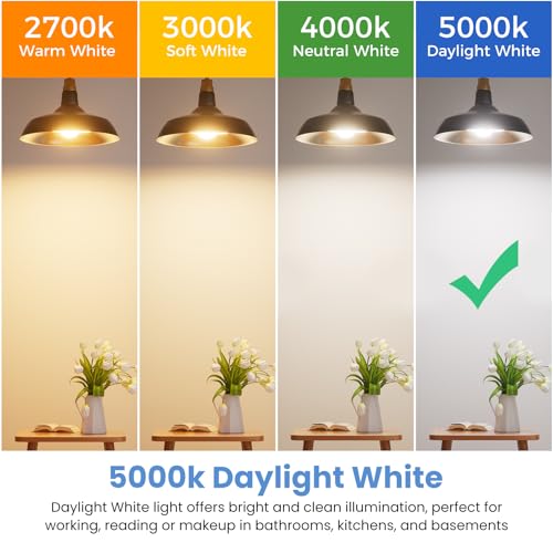 6 Pack A19 LED Light Bulbs (6 Count)