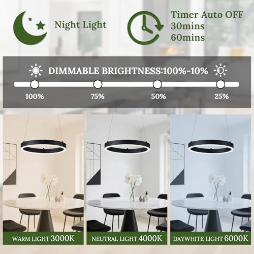 12in LED Ring Chandelier Black Modern Dimmable Pendant Light